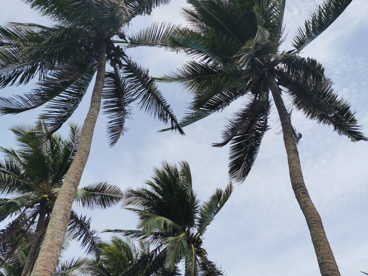 When God Says “No”